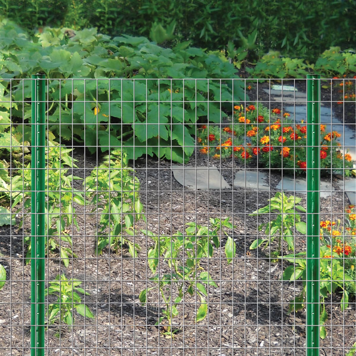 IRONRIDGE Gray Steel 50-ft Welded Wire Fence, 2x3 Mesh