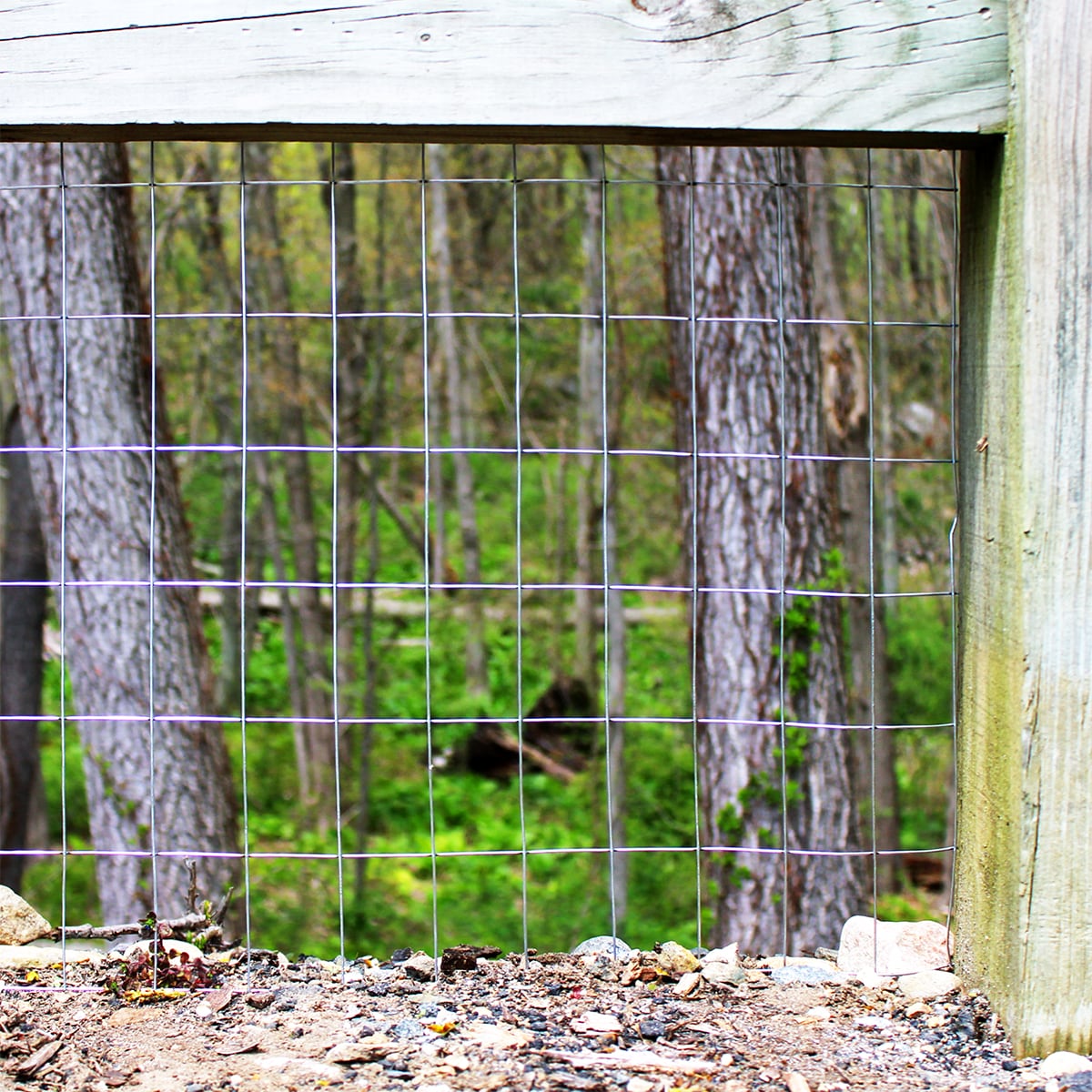 IRONRIDGE Gray Steel 50-ft Welded Wire Fence, 2x3 Mesh