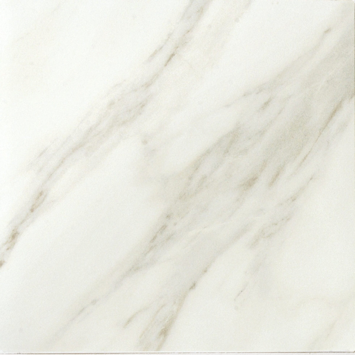 Daltile Mirasol Bianco Carrara 12-in x 12-in Glazed Porcelain Floor and Wall Tile product image