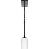 Progress Lighting Adley 3-Light Matte Black Transitional Chandelier