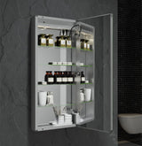 Fresca 15-in x 36-in Lighted LED Fog Free Surface/Recessed Mount LED Mirror Mirrored Soft Close Medicine Cabinet with Outlet