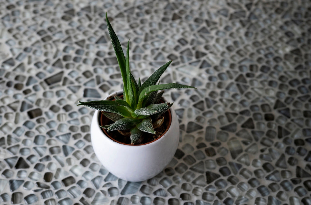 Apollo Tile (Sample) Bijou Gray 4-in x 4-in Honed Glass Pebble Mosaic Floor and Wall Tile