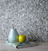 Apollo Tile (Sample) Bijou Gray 4-in x 4-in Honed Glass Pebble Mosaic Floor and Wall Tile