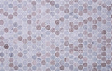 Apollo Tile (Sample) Floor and Wall Tile Gray and Beige 4-in x 4-in Polished Marble Floor and Wall Tile