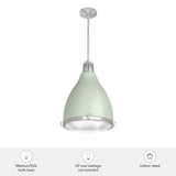 Hunter Bluff View 3-Light Soft Sage Transitional Clear Glass Dome LED Medium Hanging Pendant Light