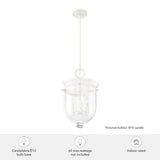 Hunter Belltown 3-Light Rustic White Transitional Clear Glass Urn LED Medium Hanging Pendant Light