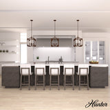 Hunter Highland Hill 4-Light Textured Rust Traditional Lantern LED Medium Hanging Pendant Light