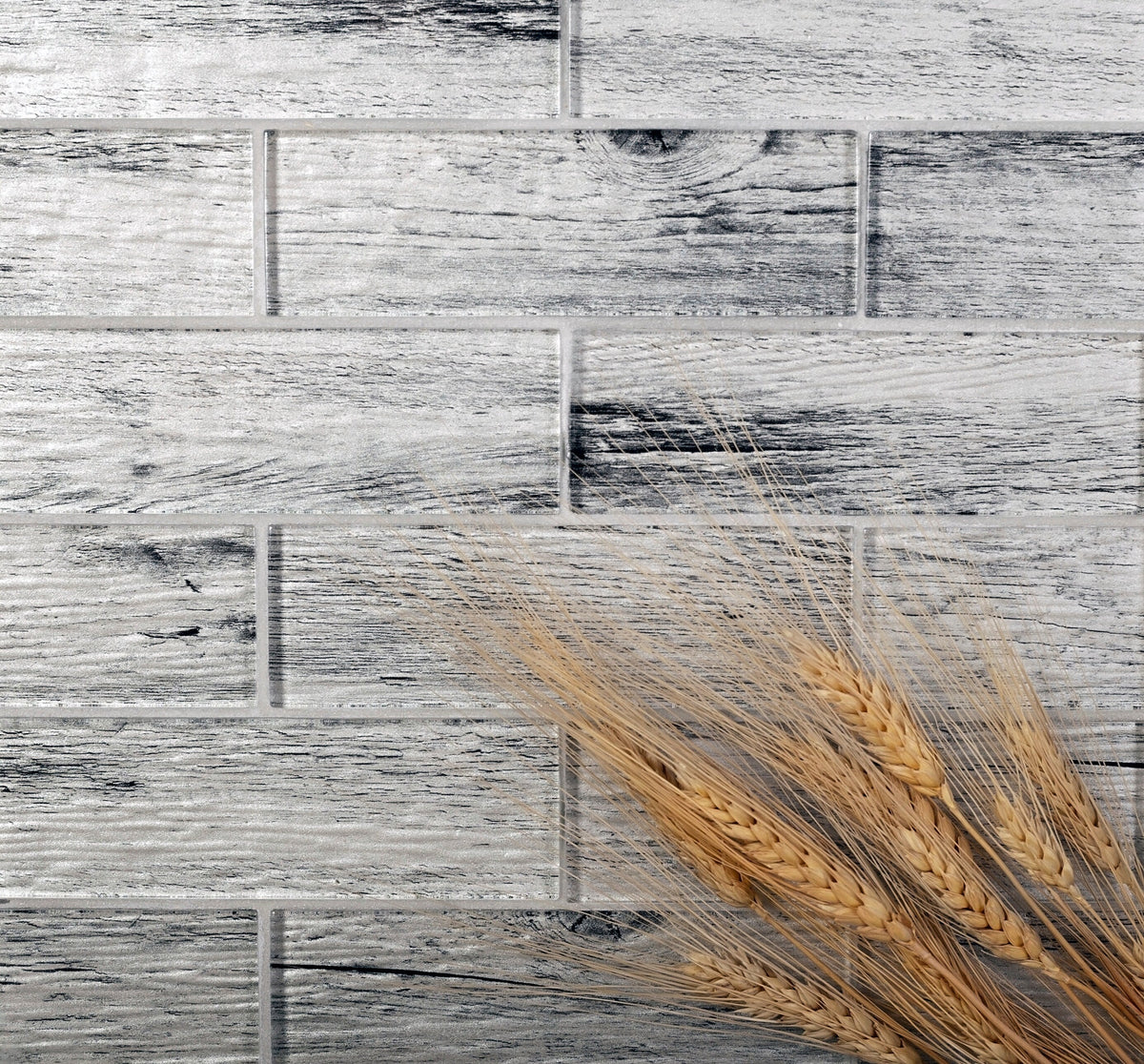 Apollo Tile (Sample) Gray 4-in x 4-in Glossy Glass Brick Wood Look Floor and Wall Tile