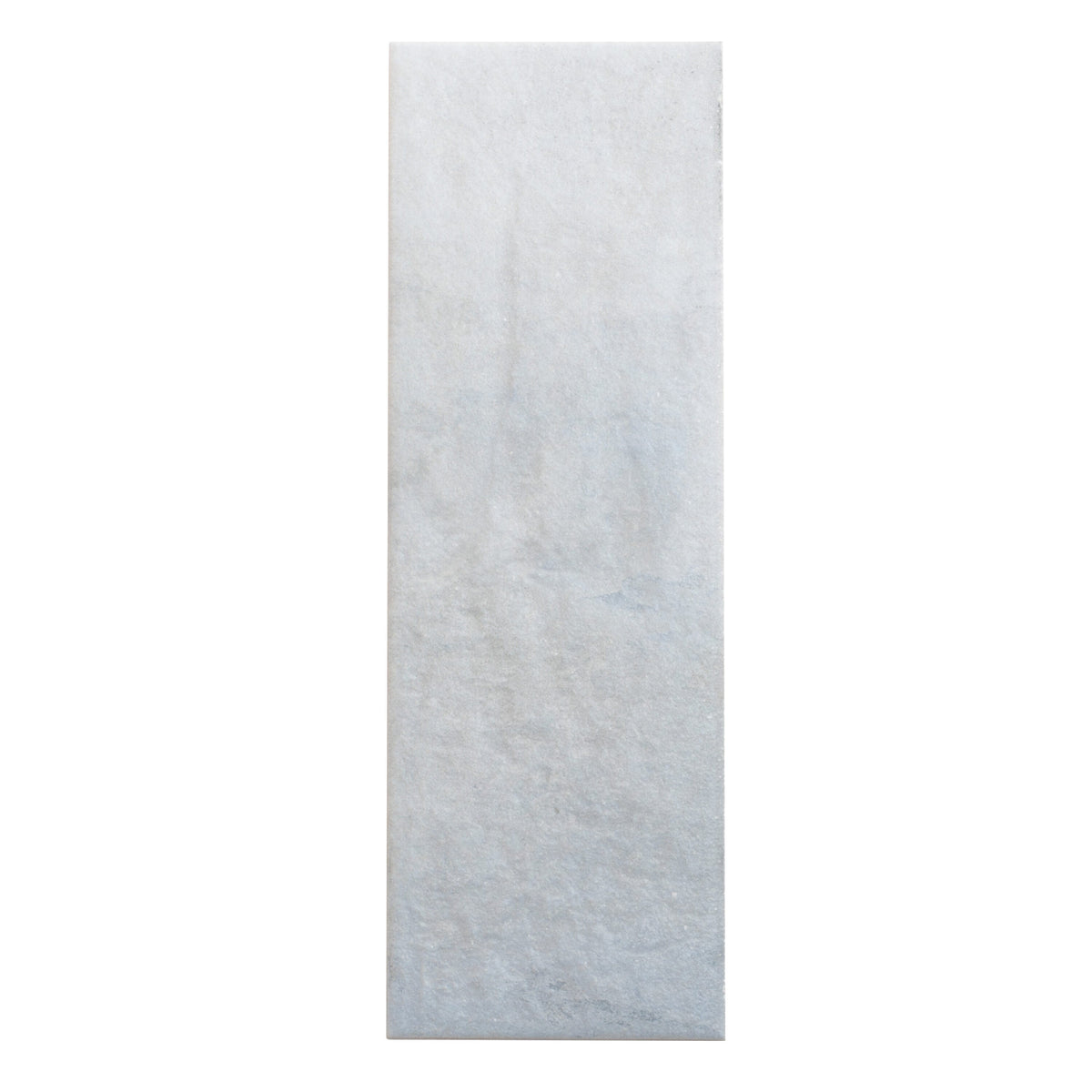 Apollo Tile (Sample) Gray 4-in x 12-in Natural Porcelain Stone Look Wall Tile