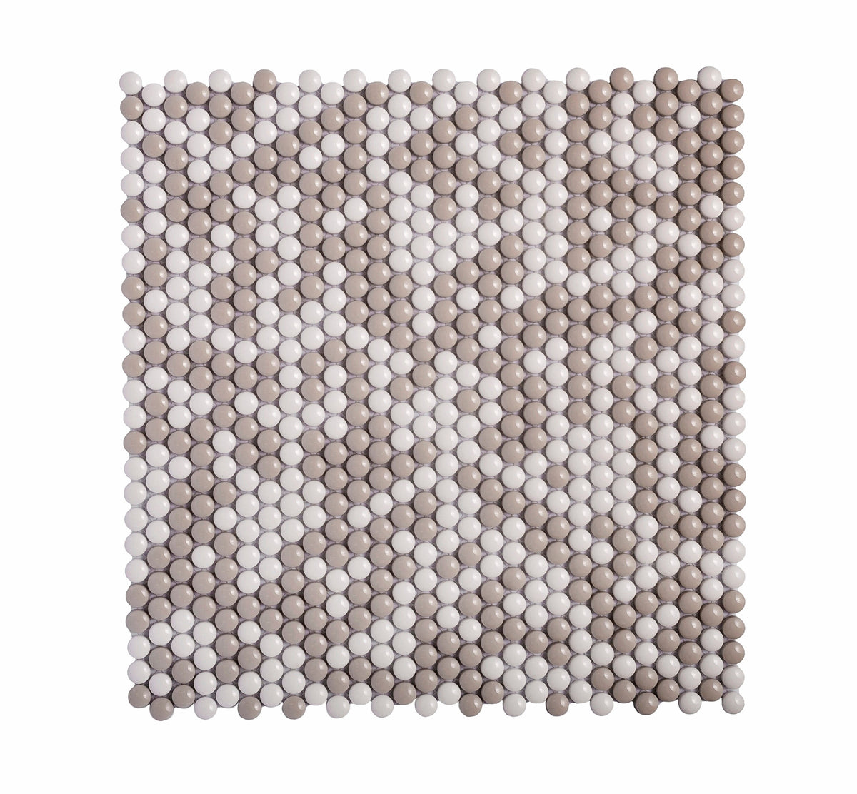 Apollo Tile (Sample) Alabaster White, Beige 12-in x 13-in Polished Glass Penny Round Patterned Floor and Wall Tile