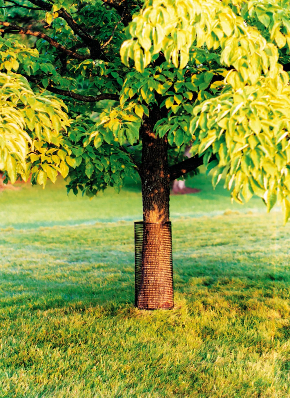 Tenax 15-ft x 3-ft Black Hdpe Extruded Mesh Rolled Fencing with Mesh Size 3/4-in x 1-in