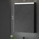 Forclover 24-in x 30-in Lighted LED Surface Mount Aluminum Mirrored Medicine Cabinet