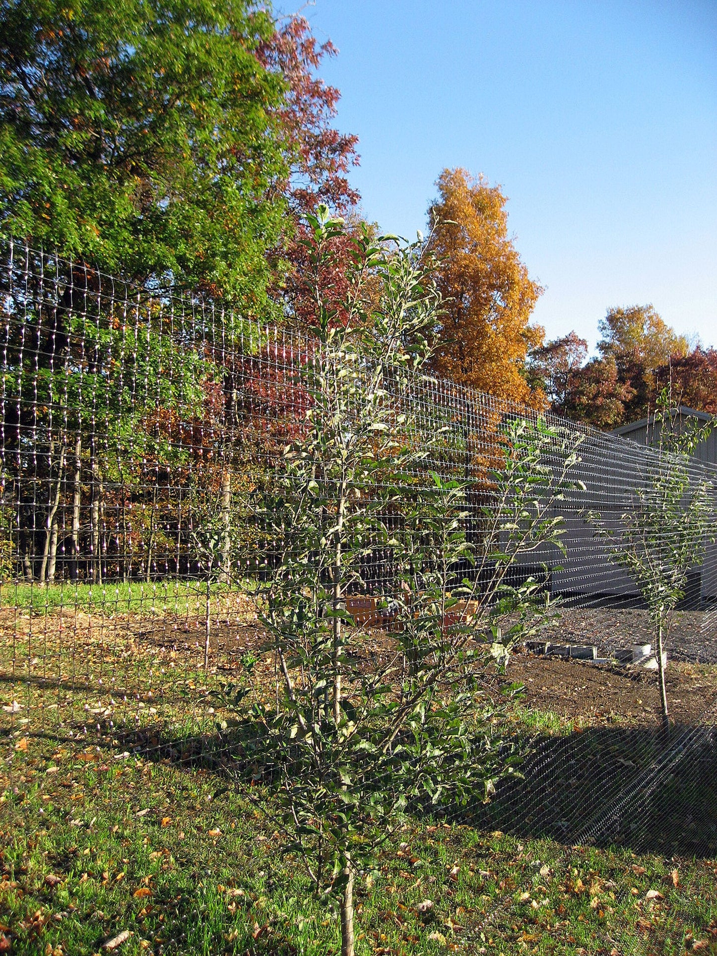 Tenax 100-ft x 7-ft Black Plastic Mesh Rolled Fencing