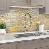Apollo Tile Brisk Beige 11-in x 11-in Brushed PVC Hexagon Peel and Stick Wall Tile (8.79-sq. ft/ Carton)