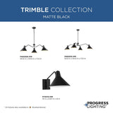 Progress Lighting Trimble 2-Light Brushed Nickel Industrial Chandelier