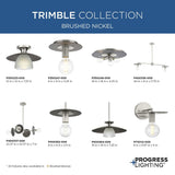 Progress Lighting Trimble 2-Light Brushed Nickel Industrial Chandelier