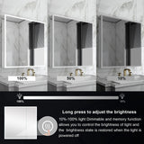 WELLFOR ELIN 30-in x 30-in Lighted LED Fog Free Surface/Recessed Mount Silver Mirrored Soft Close Medicine Cabinet with Outlet