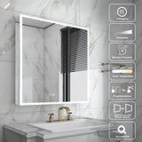 WELLFOR ELIN 30-in x 30-in Lighted LED Fog Free Surface/Recessed Mount Silver Mirrored Soft Close Medicine Cabinet with Outlet