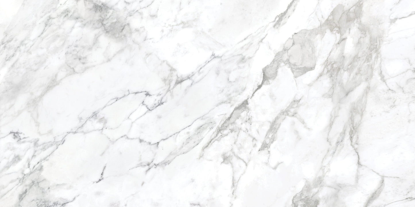 Satori La Marca Arabescato 24-in x 48-in Honed Porcelain Marble look Floor and Wall Tile product image