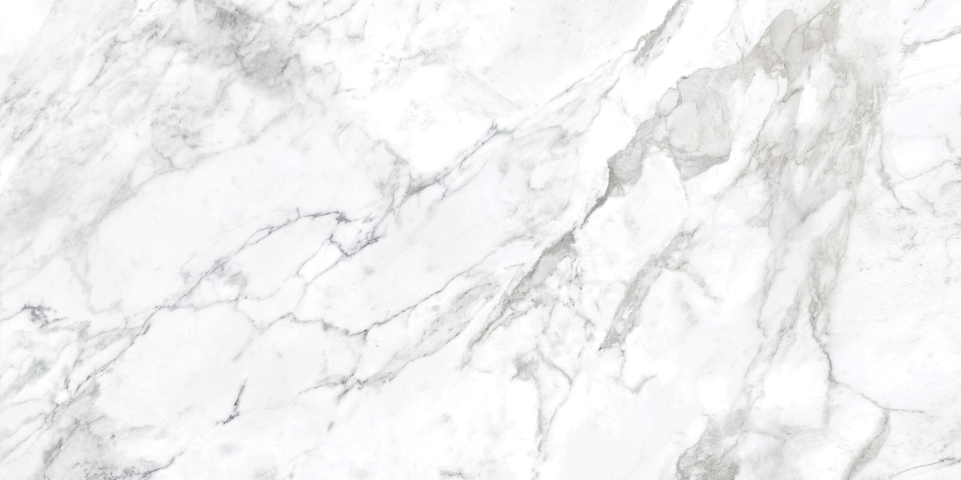 Satori La Marca Arabescato 24-in x 48-in Honed Porcelain Marble look Floor and Wall Tile product image