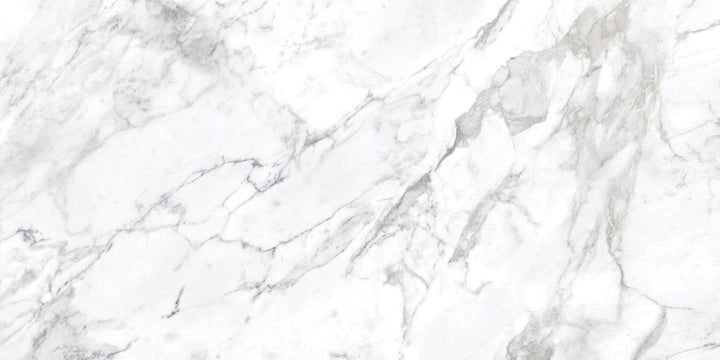 Satori La Marca Arabescato 24-in x 48-in Honed Porcelain Marble look Floor and Wall Tile product image