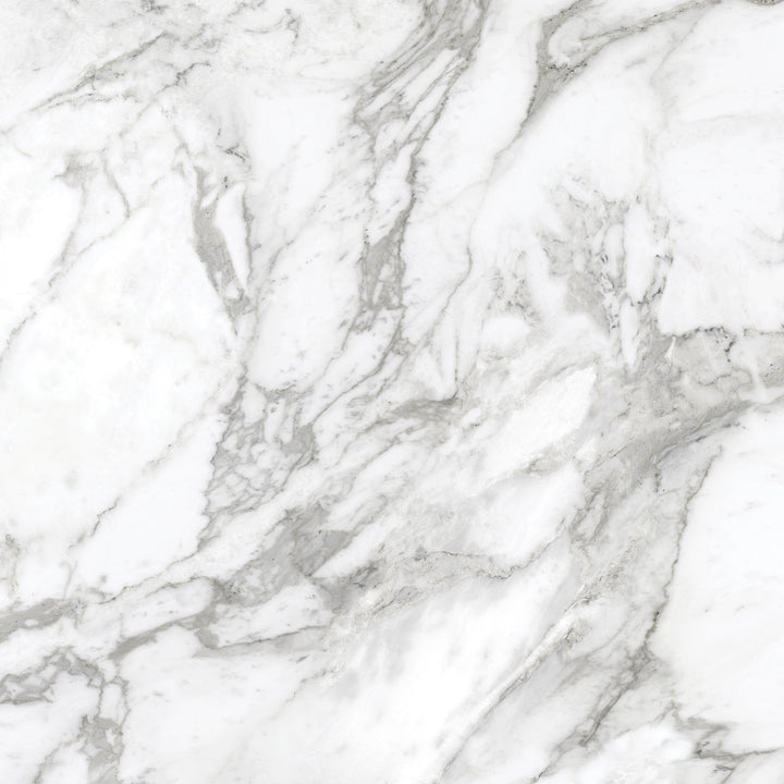 Satori La Marca Arabescato 24-in x 24-in Honed Porcelain Marble look Floor and Wall Tile product image