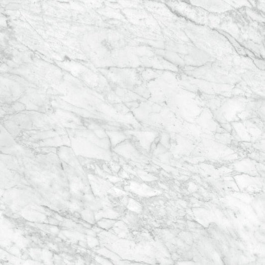 Anatolia La Marca Carrara Gioia 24-in x 24-in Honed Porcelain Marble Look Floor and Wall Tile (15.5-sq. ft/ Carton)