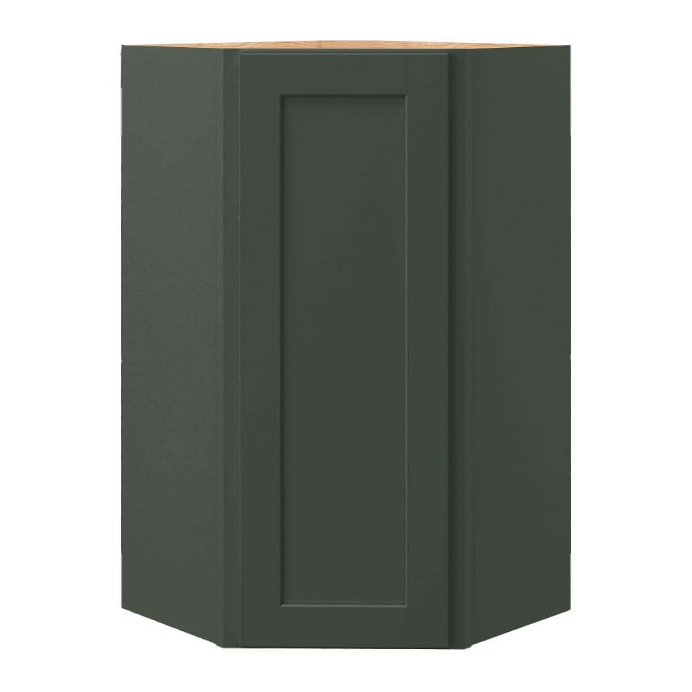 allen + roth Galway 24-in W x 39.125-in H x 12-in D Sage Diagonal Wall Fully Assembled Cabinet (Flat Panel Shaker Door Style)