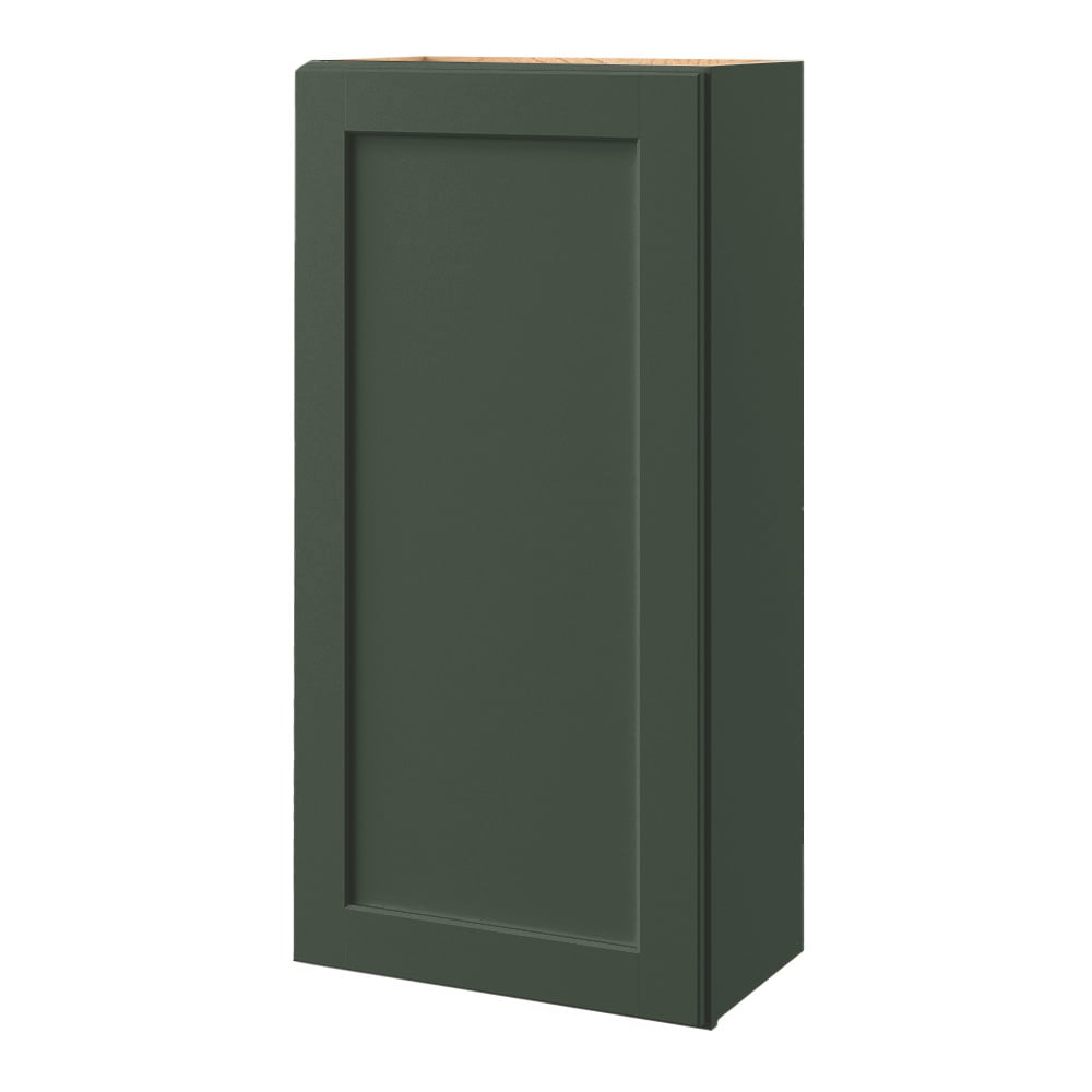 allen + roth Galway 21-in W x 42.125-in H x 12-in D Sage Wall Fully Assembled Cabinet (Flat Panel Shaker Door Style)