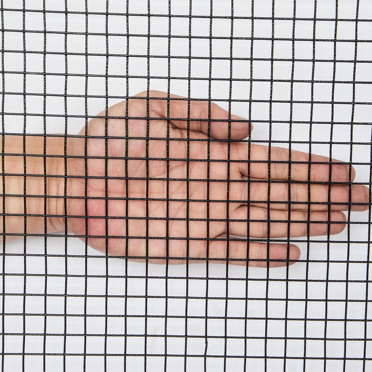 Bybafun 50-ft x 4-ft 17-Gauge Black PVC Coated Steel Welded Wire Rolled Fencing with Mesh Size 1/2-in x 1/2-in