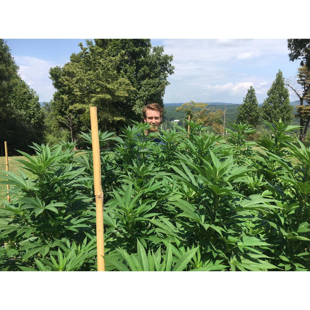 8 Oz. Microbial Root Probiotic/Soil Amendment - Super Arbor