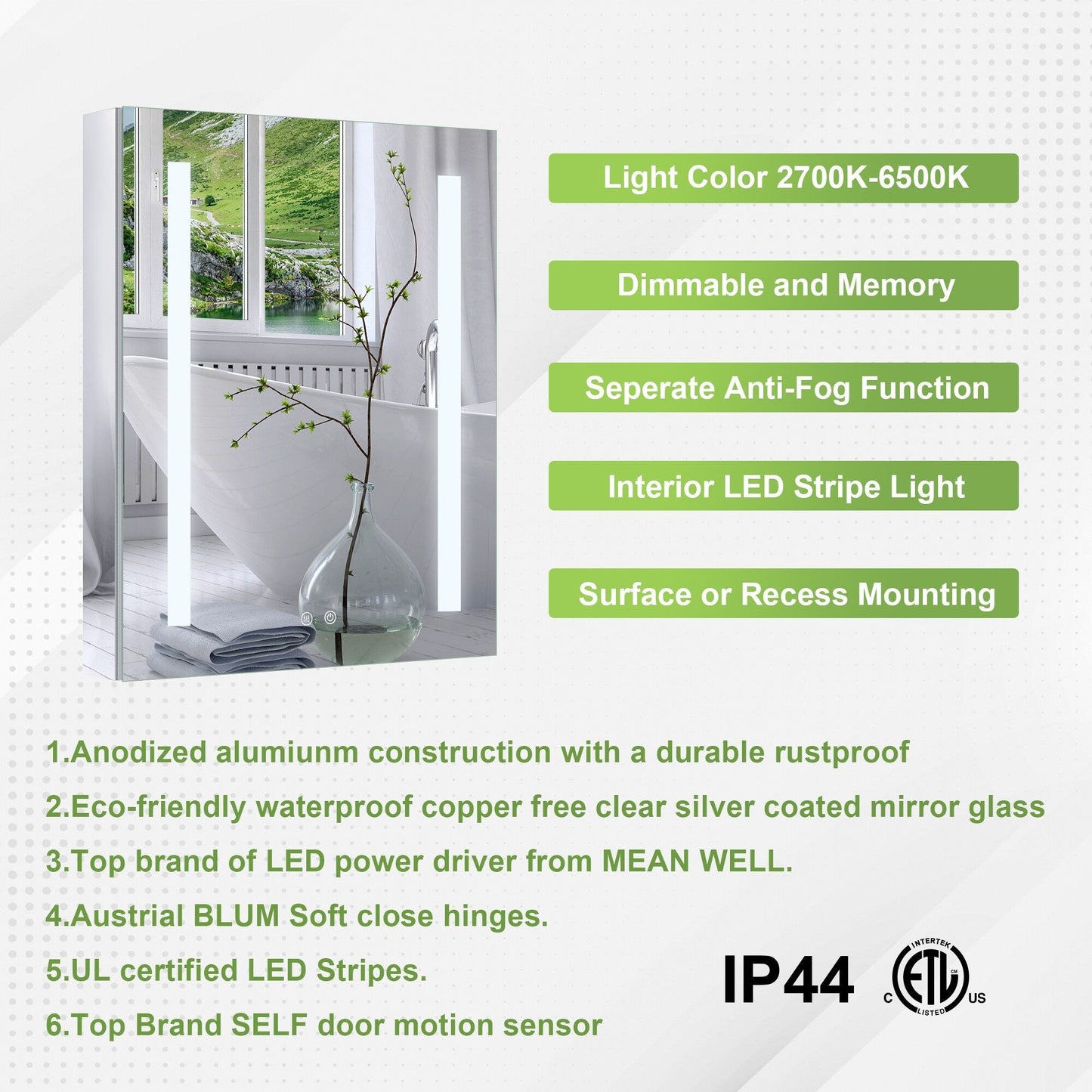 Forclover 24-in x 30-in Lighted LED Fog Free Surface/Recessed Mount Silver Mirrored Soft Close Medicine Cabinet with Outlet