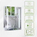 Forclover 24-in x 30-in Lighted LED Fog Free Surface/Recessed Mount Silver Mirrored Soft Close Medicine Cabinet with Outlet