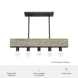 Hunter Donelson 5-Light Satin Black RusticBare Bulb Chandelier