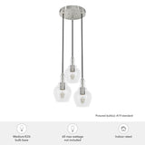 Hunter Maple Park 3-Light Brushed Nickel Transitional Clear Glass LED Small Hanging