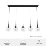 Hunter Maple Park 5-Light Noble Bronze Transitional Clear Glass Linear LED Large Hanging