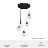 Hunter Maple Park 5-Light Noble Bronze Transitional Clear Glass LED Small Hanging