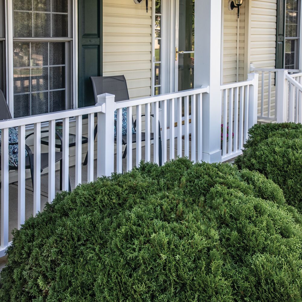 Freedom 4-in x 4-in White Vinyl Deck Post Cap