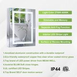 Forclover 24-in x 30-in Lighted LED Fog Free Surface/Recessed Mount Silver Mirrored Soft Close Medicine Cabinet with Outlet