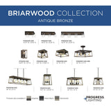 Progress Lighting Briarwood 4-Light Textured Black Farmhouse Rectangle Medium Hanging Pendant Light