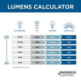 Progress Lighting Swansea 4-Light Matte Black Transitional Outdoor Chandelier