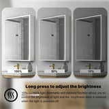 Forclover 24-in x 30-in Lighted LED Fog Free Surface/Recessed Mount Silver Mirrored Soft Close Medicine Cabinet with Outlet