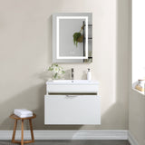 Forclover 24-in x 30-in Lighted LED Fog Free Surface/Recessed Mount Silver Mirrored Soft Close Medicine Cabinet with Outlet