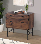 Saint Birch Bombay Walnut 2-Drawer 30.67-in File Cabinet
