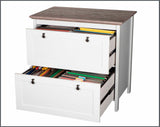 Saint Birch Finley White, Drift Wood Office Cabinet
