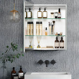 Forclover 20-in x 26-in Surface/Recessed Mount Silver Mirrored Soft Close Medicine Cabinet