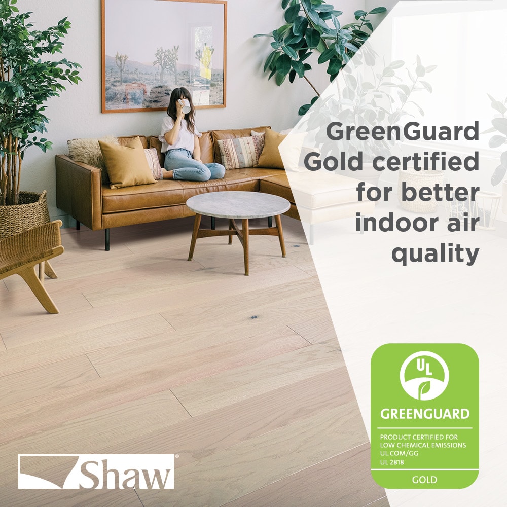Shaw Hickory Sepia hardwood flooring — lifestyle view