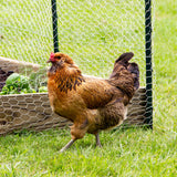 Garden Craft 150ft x 5ft Gray Steel Chicken Wire Rolled Fencing