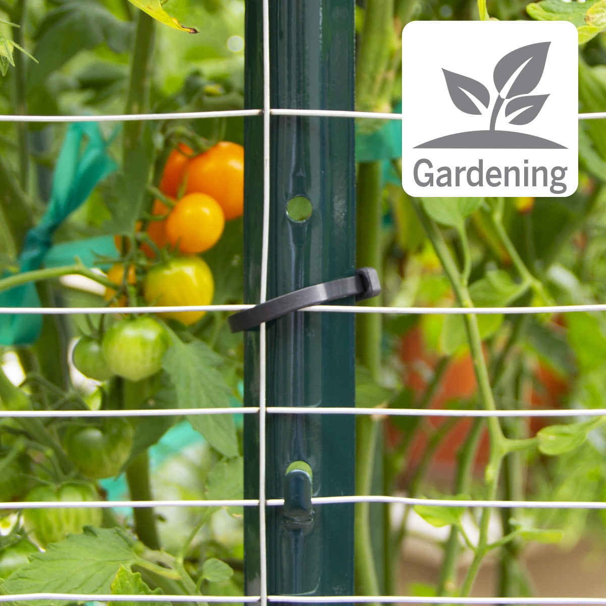 GARDEN CRAFT 50-ft x 3-ft Gray Galvanized Steel Welded Wire Rolled Fencing