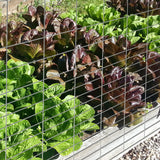 GARDEN CRAFT 50-ft x 3-ft Gray Galvanized Steel Welded Wire Rolled Fencing